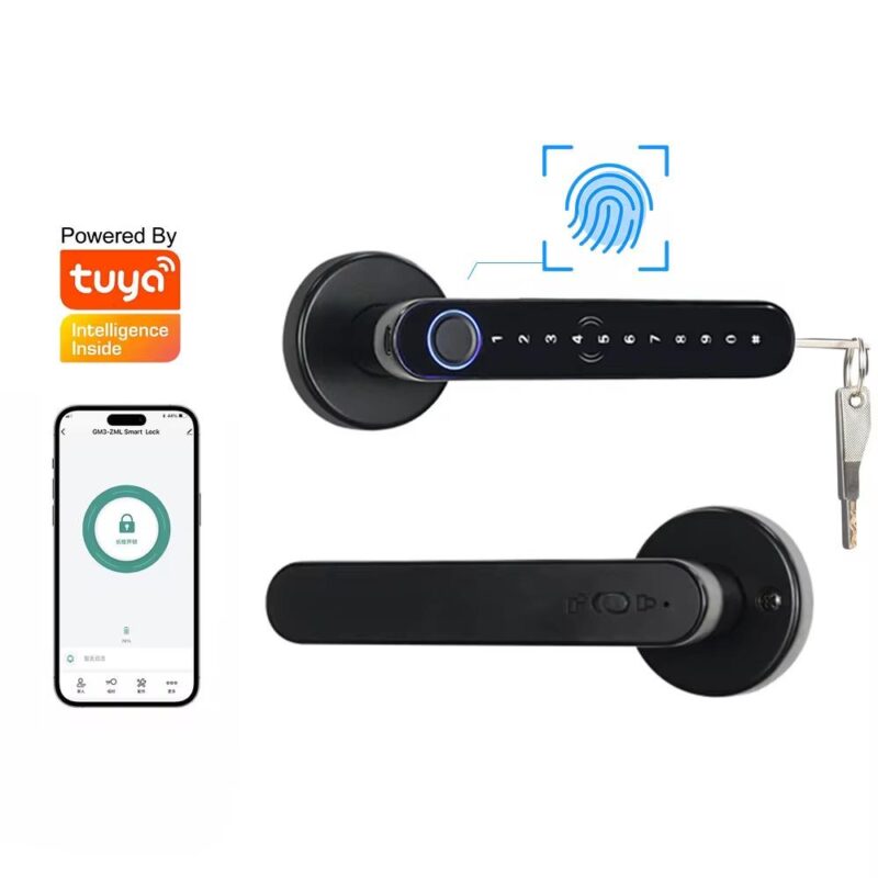 smart Bedroom lock